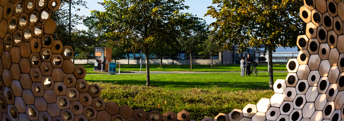 image of campus taken from inside the waggle dance sculpture