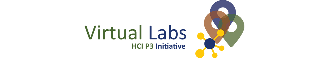 Virtual Labs HCI P3 Initiative