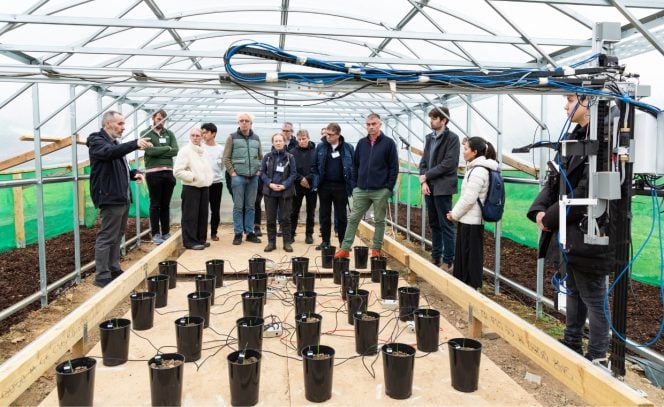 group of people inside a poly tunnel looking at plant pots with sensors and watering robot