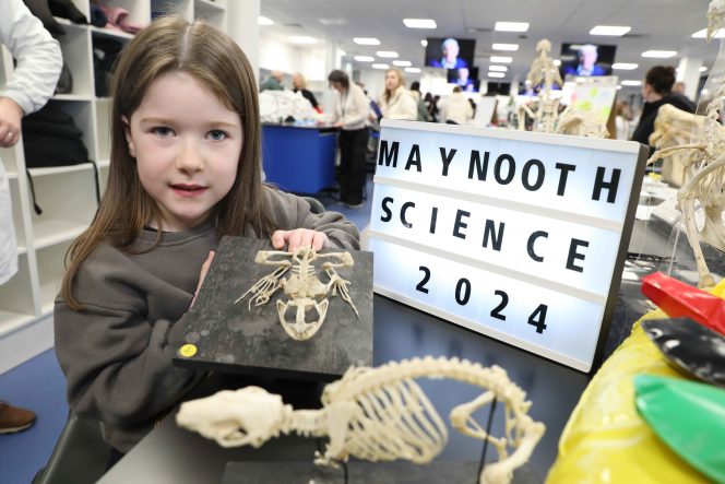 Little girl hold a skeleton in front of a sign reading Maynooth Science 2024