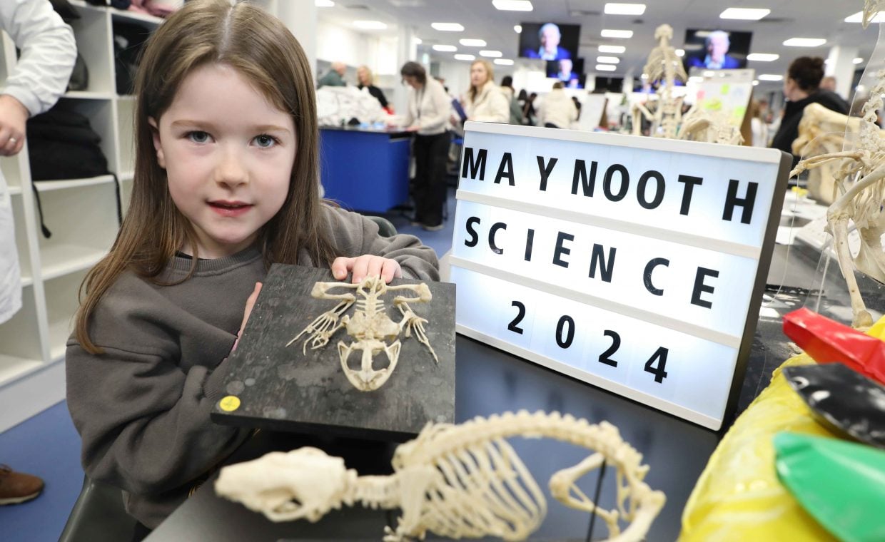 Little girl hold a skeleton in front of a sign reading Maynooth Science 2024