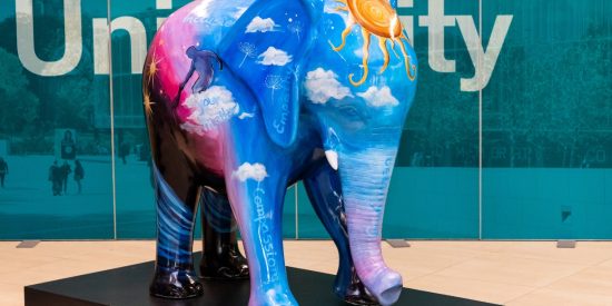 colourful Elephant mental health sculpture depicting Darkness into Light