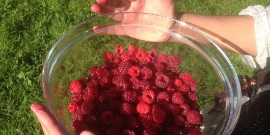 Picture of a bowl of fresh raspberries