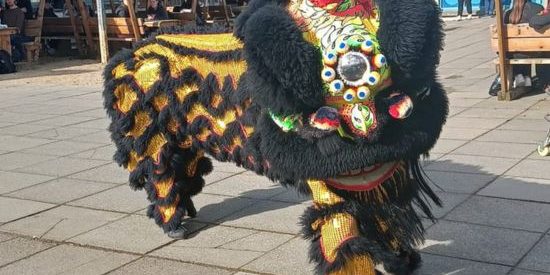 IO_First celebration of International Cultures and Identities on Maynooth