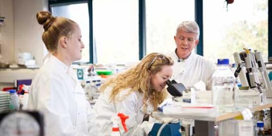 Communications & Marketing - Kevin Kavanagh lab with students biology 500 x 333 - Maynooth University