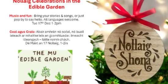 Nollaig Celebration in the Edible Garden | Ceilúradh na Nollag sa Gharraí Glasraí