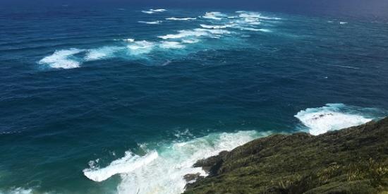 The sea from a cliff edge, Australia