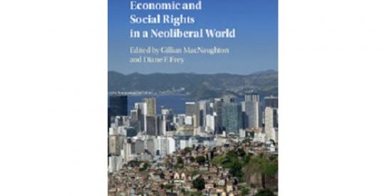 Book cover - economic and social rights in a neoliberal world