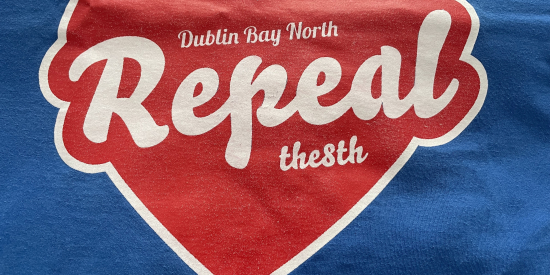 DBN Repeal the 8th logo