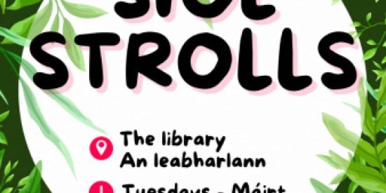 Síol Strolls image - The Library Tuesdays 1.05pm