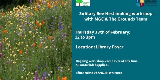 Solitary Bee Nesting Event