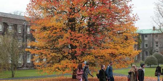 South Campus - Students at Graduation Tree - Maynooth University