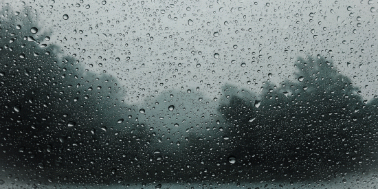 Raindrops on a window pane with trees out of focus in the background